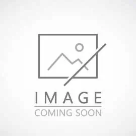 Lazy loading image